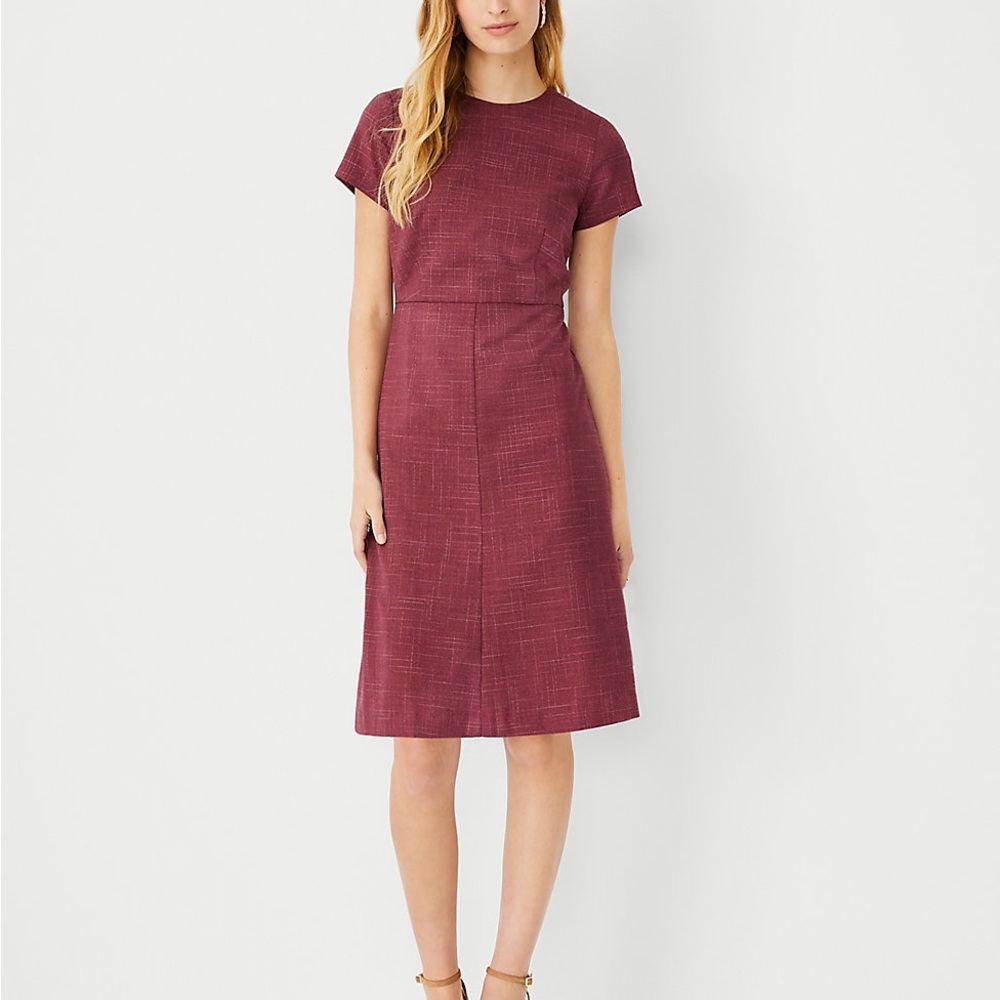 NWT Ann Taylor beautiful dark pink shift